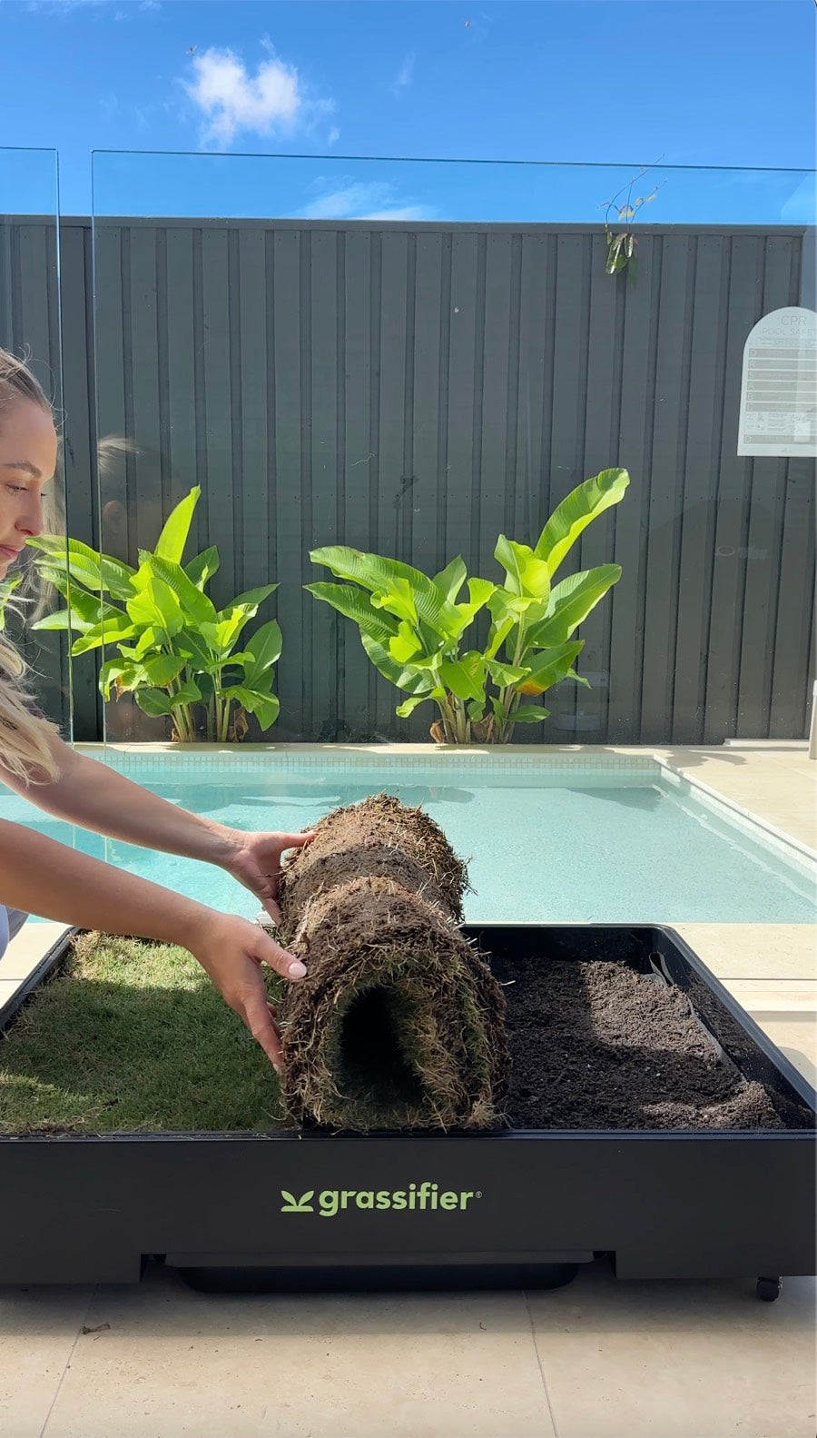 Laying fresh turf into the Grassifier tray