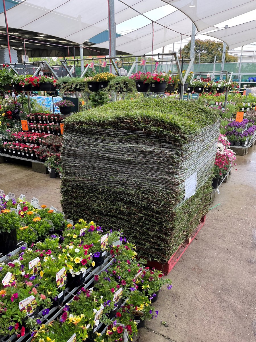 A pallet of farm fresh turf at Bunnings