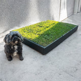 Real Grass Puppy Potty - Premium