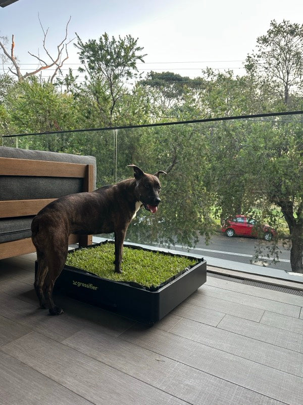 Apartment balcony