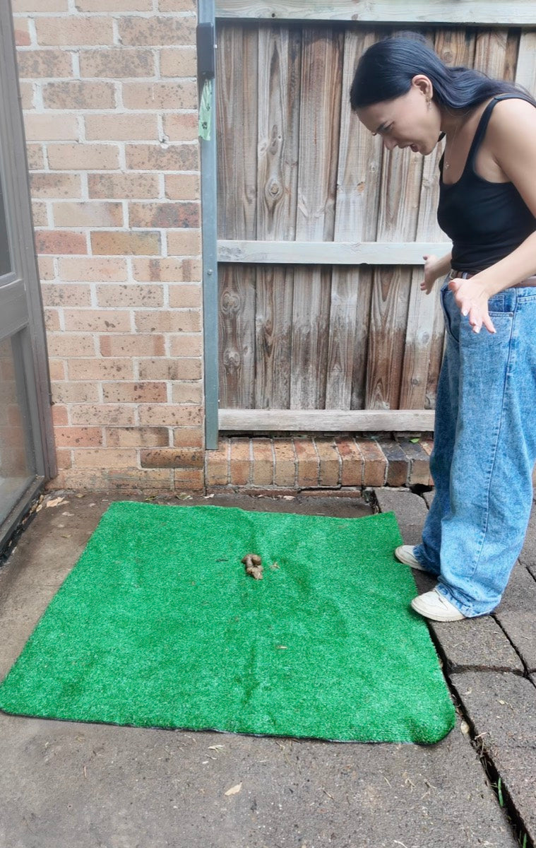 Real grass vs fake grass and pads