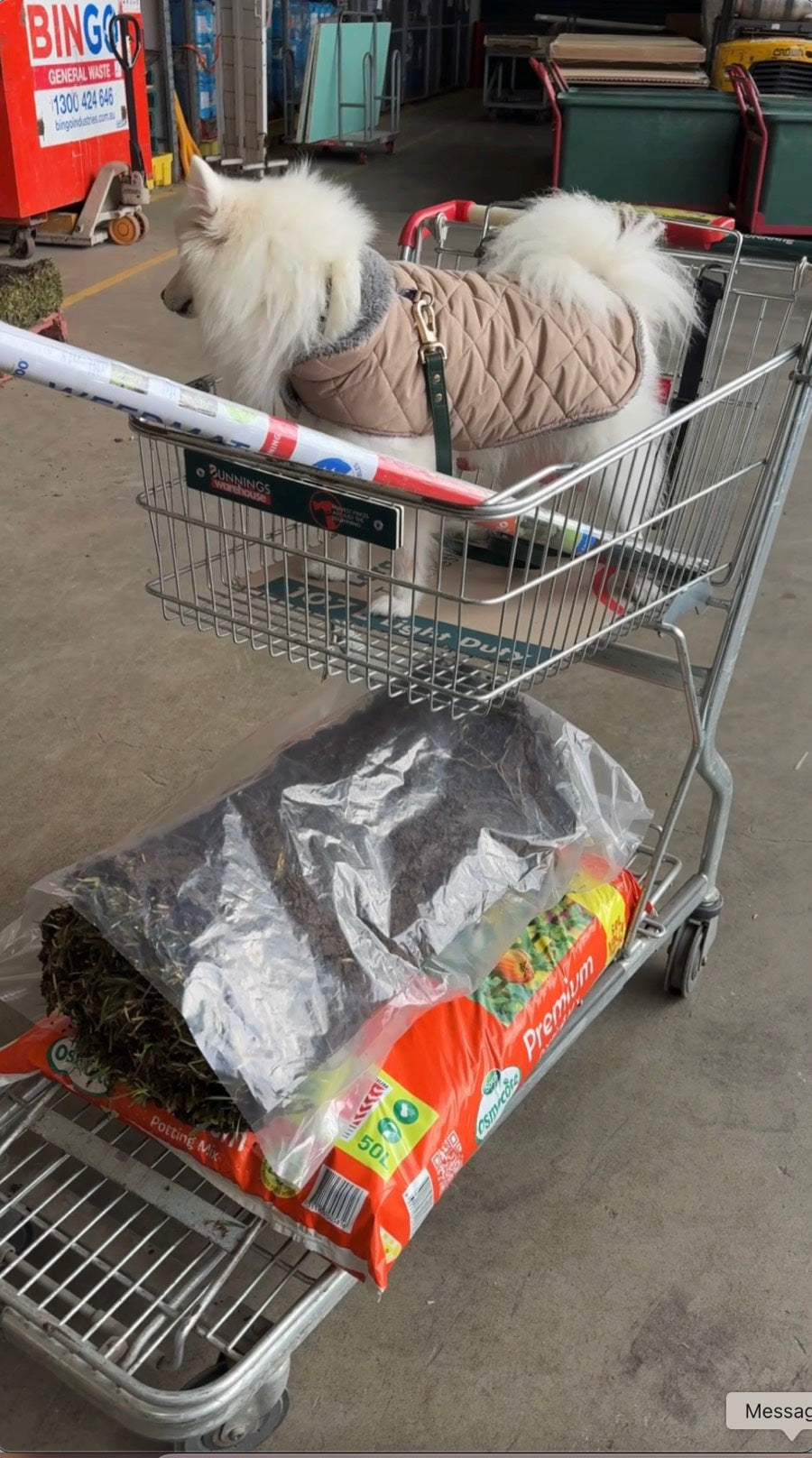 Fresh turf and a bag of soil in a trolley at the garden centre